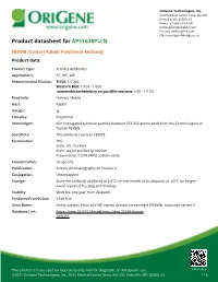 FBXW8 (Center) Rabbit Polyclonal Antibody Product Data
