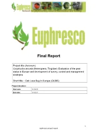 Final Report