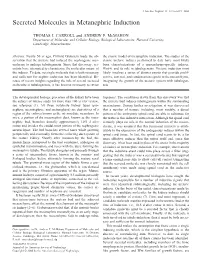 Secreted Molecules in Metanephric Induction