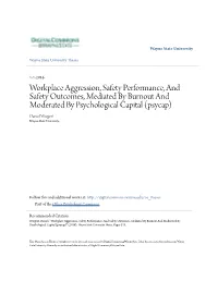 Workplace Aggression, Safety Performance, and Safety Outcomes