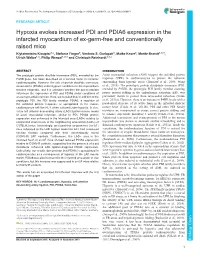 Hypoxia Evokes Increased PDI and PDIA6 Expression in The