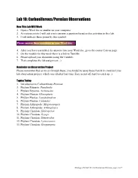 Lab 10-Carboniferous+Perm-Online