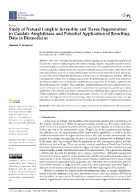 Study of Natural Longlife Juvenility and Tissue Regeneration in Caudate Amphibians and Potential Application of Resulting Data in Biomedicine