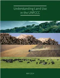 Understanding Land Use in the UNFCCC