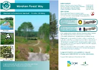 Wareham Forest
