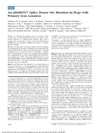 An ADAMTS17 Splice Donor Site Mutation in Dogs with Primary Lens Luxation