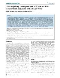 CD40 Signaling Synergizes with TLR-2 in the BCR Independent Activation of Resting B Cells