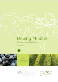 Downy Mildew Questions and Answers