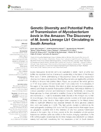 Genetic Diversity and Potential Paths of Transmission of Mycobacterium Bovis in the Amazon: the Discovery of M
