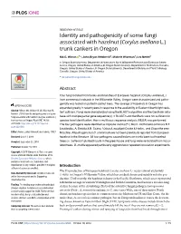 Identity and Pathogenicity of Some Fungi Associated with Hazelnut (Corylus Avellana L.) Trunk Cankers in Oregon