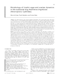 Morphology of Trophic Eggs and Ovarian Dynamics in the Subsocial Bug Adomerus Triguttulus (Heteroptera: Cydnidae)