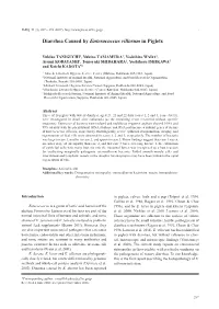 Diarrhea Caused by Enterococcus Villorum in Piglets