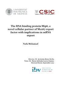 The RNA Binding Protein Mip6, a Novel Cellular Partner of Mex67 Export Factor with Implications in Mrna