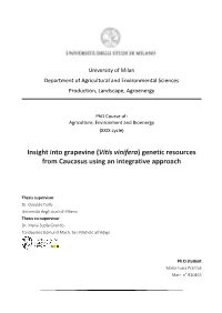 Vitis Vinifera) Genetic Resources from Caucasus Using an Integrative Approach