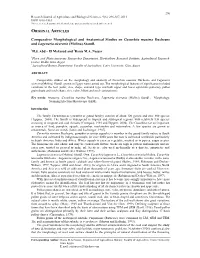 Comparative Morphological and Anatomical Studies on Cucurbita Maxima Duchesne and Lagenaria Siceraria (Molina) Standl