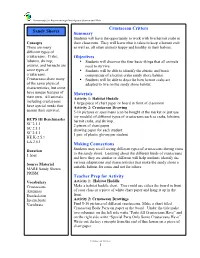Crustacean Critters Summary Objectives Materials Making Connections Teacher Prep for Activity Sandy Shores