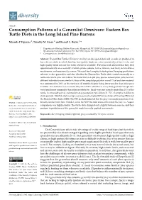Eastern Box Turtle Diets in the Long Island Pine Barrens