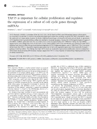 TAF15 Is Important for Cellular Proliferation and Regulates the Expression of a Subset of Cell Cycle Genes Through Mirnas