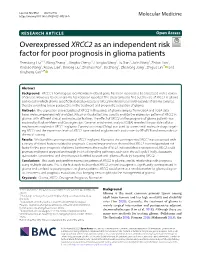 Downloaded 1018 Mrna Sequencing an Increasing Trend in Isocitrate Dehydrogenase 1(IDH1) and 301 Mrna Microarray Data from the CGGA Data- -Mutant Gliomas (Ohba Et Al