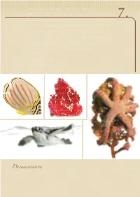 7. Documentation