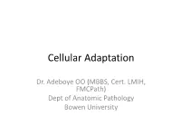 Cellular Adaptation