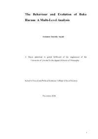 The Behaviour and Evolution of Boko Haram: a Multi-Level Analysis
