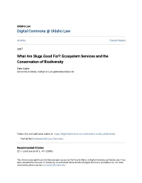 Ecosystem Services and the Conservation of Biodiversity