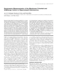 Noninvasive Measurements of the Membrane Potential and Gabaergic Action in Hippocampal Interneurons