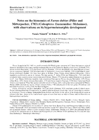 Coleoptera: Eucnemidae: Melasinae), with Observations on Its Hypermetamorphic Development