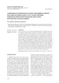 Comparison of Morphological Traits and Mineral Content in Eucomis Autumnalis (Mill.) Chitt