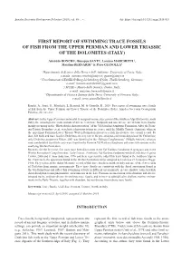First Report of Swimming Trace Fossils of Fish from the Upper Permian and Lower Triassic of the Dolomites (Italy)