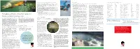 Fishing Rules and Permits - Kiruna Municipality 2021 the Grayling During Spawning