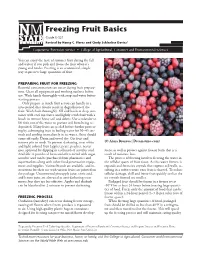 Freezing Fruit Basics