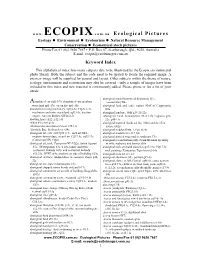 Keyword Index for Ecopix
