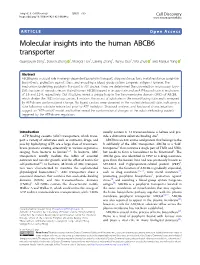 Molecular Insights Into the Human ABCB6 Transporter Guangyuan Song1, Sensen Zhang 1,Mengqitian1, Laixing Zhang1,Runyuguo1, Wei Zhuo 1 and Maojun Yang 1