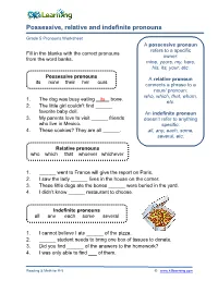 Possessive, Relative and Indefinite Pronouns Worksheet