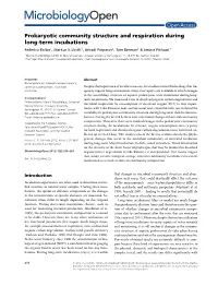 Prokaryotic Community Structure and Respiration During Longterm