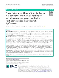 Transcriptome Profiling of the Diaphragm in a Controlled Mechanical Ventilation Model Reveals Key Genes Involved in Ventilator-I