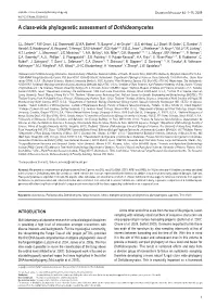 A Class-Wide Phylogenetic Assessment of Dothideomycetes