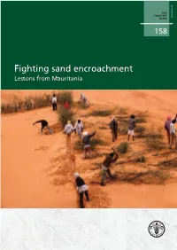 Fighting Sand Encroachment Lessons from Mauritania Cover Photo: Mechanical Dune Stabilization: Installing Plant Matter M