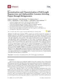 Reconstruction and Characterization of Full-Length Begomovirus and Alphasatellite Genomes Infecting Pepper Through Metagenomics