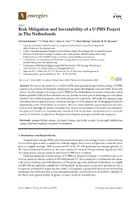 Risk Mitigation and Investability of a U-PHS Project in the Netherlands