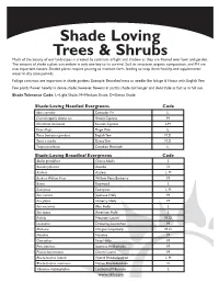 Shade Loving Trees & Shrubs