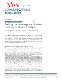Tackling the Re-Emergence of Wheat Stem Rust in Western Europe