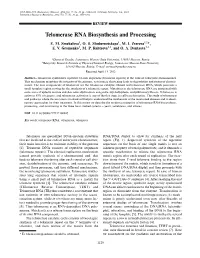 Telomerase RNA Biosynthesis and Processing