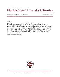 Phylogeography of the Sigmodontine Rodent, Phyllotis Xanthopygus, And