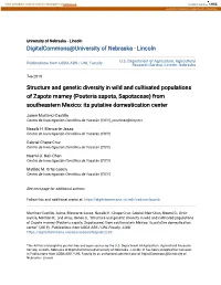 (Pouteria Sapota, Sapotaceae) from Southeastern Mexico: Its Putative Domestication Center