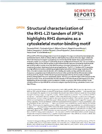 Structural Characterization of the RH1-LZI Tandem of JIP3/4