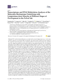 Transcriptome and DNA Methylation Analyses of the Molecular Mechanisms Underlying with Longissimus Dorsi Muscles at Diﬀerent Stages of Development in the Polled Yak