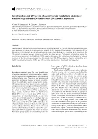 Identification and Phylogeny of Ascomycetous Yeasts from Analysis